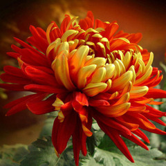 Andrew & Ai - Японская песня