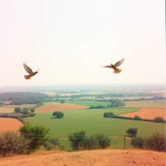 Amani Yetu (Our Peace)