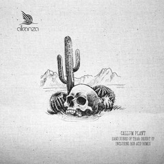 ALLE144 - Callum Plant - Sand Dunes of Thar Desert EP Inc. Rob Acid Remix - ALLEANZA