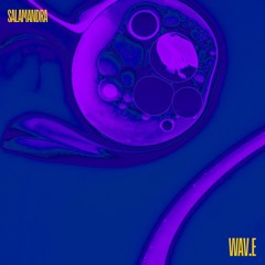 WAV.E_SALAMANDRA