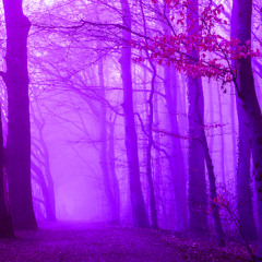 A Half-Remembered World