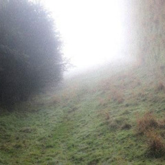 БытьРомантикомАхуено-Одинокий дуб