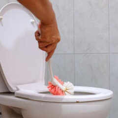 The Effervescent almost