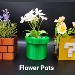Flower Pots