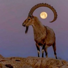 Bengî Agirî / Jîyana Şehîdan