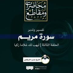 تفسير وتدبر سورة مريم (3) | ليهب لك غلاما زكيا | الشيخ عمرو الشرقاوي