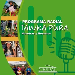 Tawka Pura - programa 168