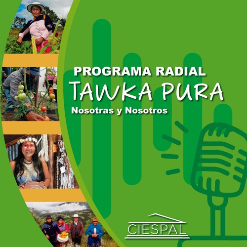 Tawka Pura - programa 168