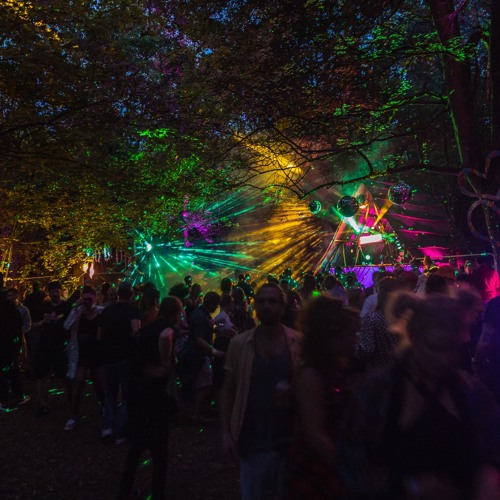 Luke Unabomber's live set from The Wild Wood Disco 2021