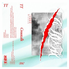 Premiere: TT - Miami! Won't You Stay I Don't Think I Can Take The Pain [ANE]