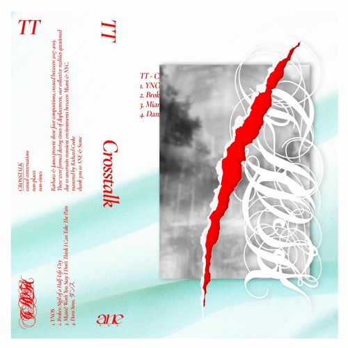 Premiere: TT - Miami! Won't You Stay I Don't Think I Can Take The Pain [ANE]