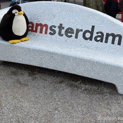 Pinguine aus Amsterdam