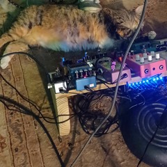 Slept on the Sand (rough draft)