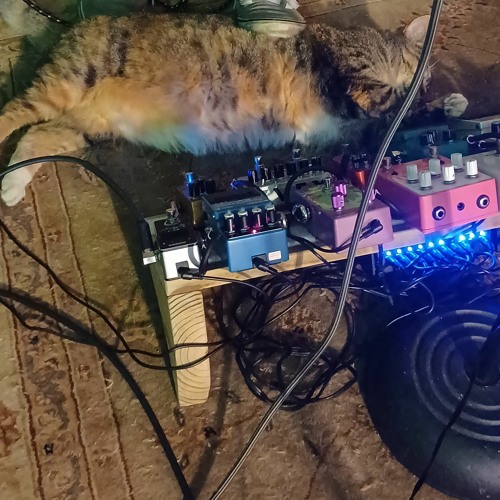 Slept on the Sand (rough draft)