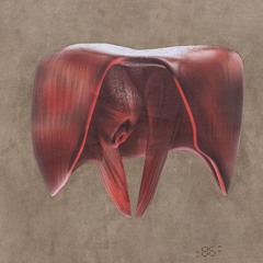 #TRAP (The Rhythms And Perturbations) --- SynTalk