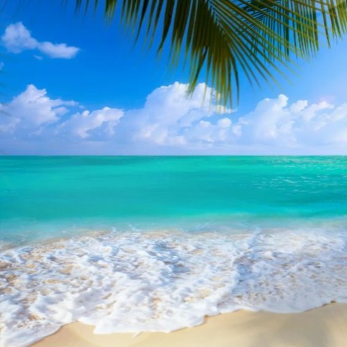 201--0--13 20:00:00pm-- music FREE DOWNLOAD