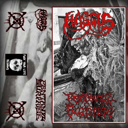 Haggus / Fentanyl Surprise (Full Split)