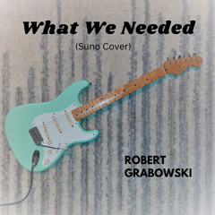 What We Needed (Cover)