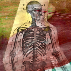 ALPHA AND OMEGA ME ii