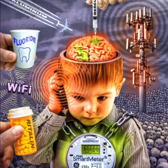 am (windrama, Kopush)