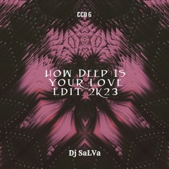 How Deep Is Your Love - Dj SaLVa Mix (Demo)