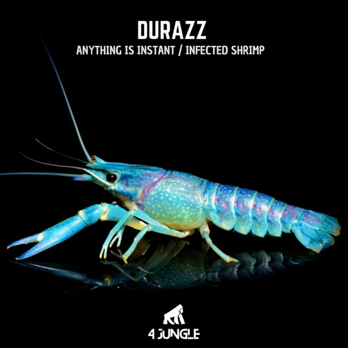 Durazz - Infected shrimp