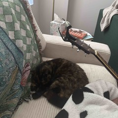 leaving on a jet plane- john denver (cover with courtney💗)