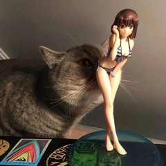 холостяк
