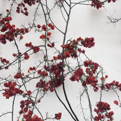 I’m angry at myself