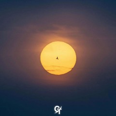 Fly Away