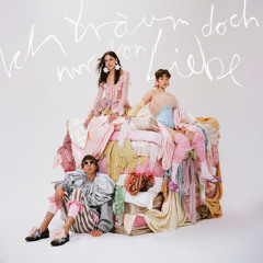 Fliederbusch