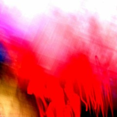 CSR 099 - 213 - Red Forest - Twirrllei