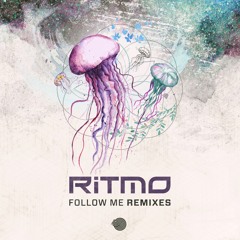 2. Ritmo - Follow Me (Alva Rmx) - Sample