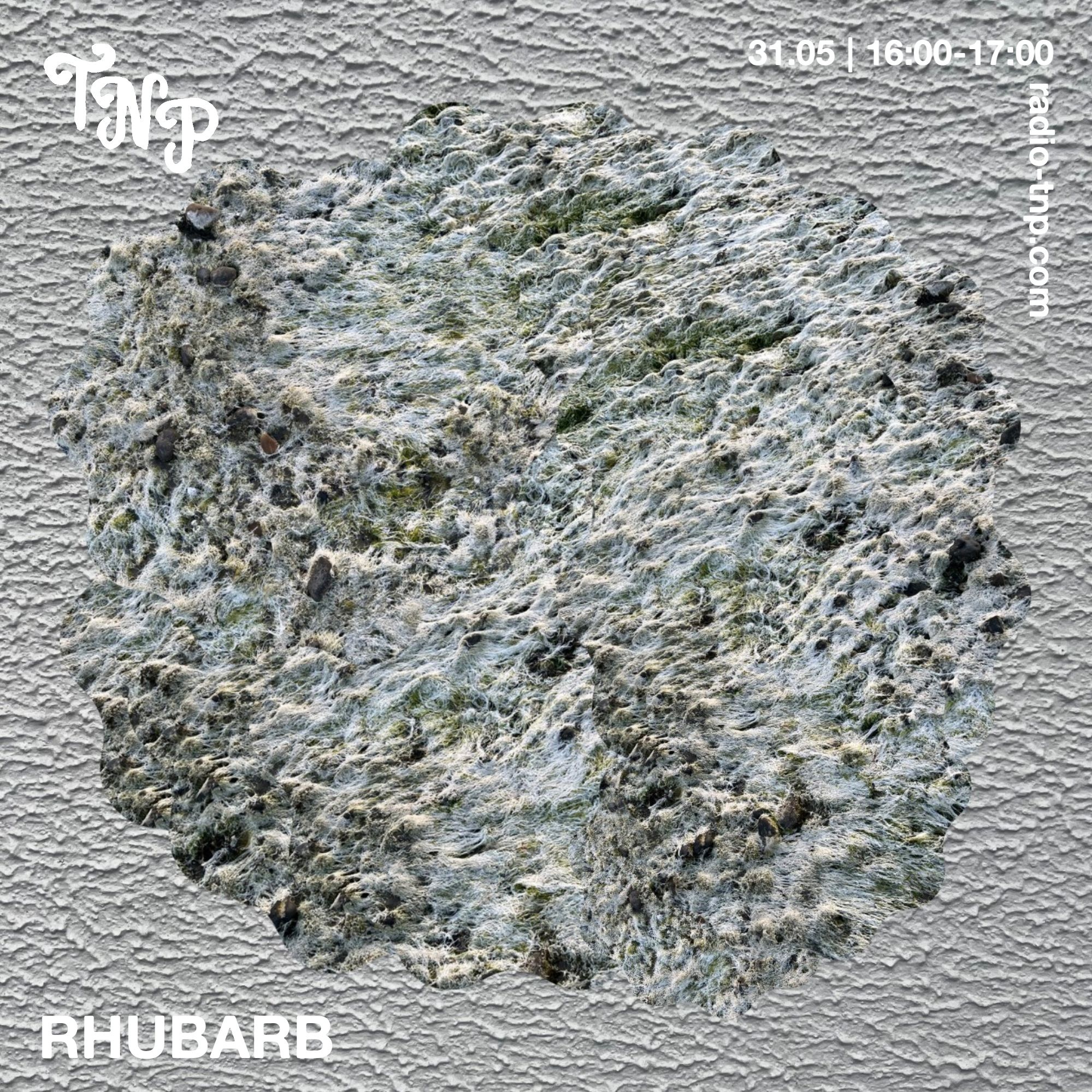Rhubarb