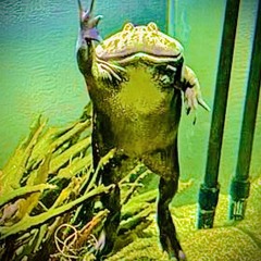 (Leak)LIZARDEMANE (lucki, lil darkie, osamason)prod.alo_vera