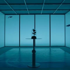 Yung Dodo-Into The Light