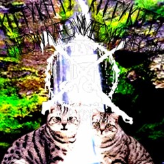 CATS LOVE GOREGRIND