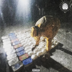 I7WT- Therapy Files Pt.3