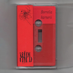 Karner Red — Borrelia karnerii (CS Rip)