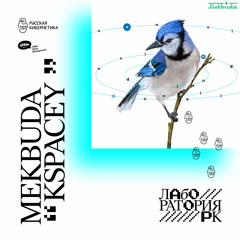 Mekbuda — KSpacey (Russian Cybernetics Laboratory with Alexander Kireev)