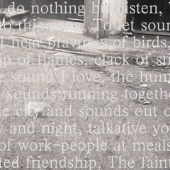 Southampton Echoes
