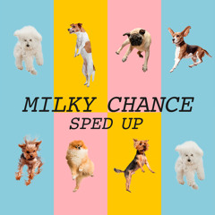 Flashed Junk Mind (Speed Version)