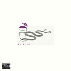 UMAIR & AHSAN - Trippin (Official Audio)