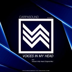VOICES IN MY HEAD