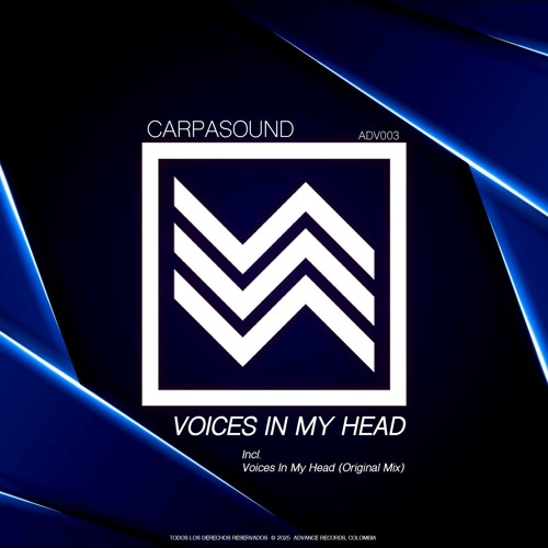 VOICES IN MY HEAD