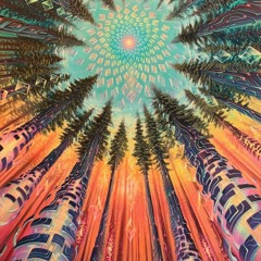 Ambience