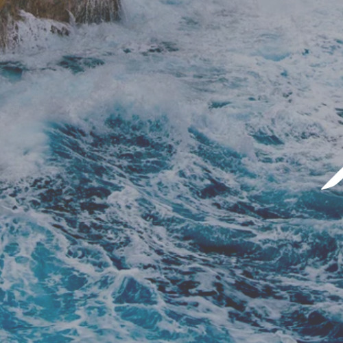 Mindfulness and Sobriety_ A Holistic Approach