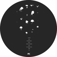 Insanus Tonsorem - Close the night with Sarita (Original Mix)