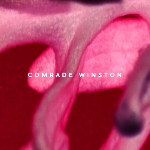 Comrade Winston [vinyl set] - Perc Trax | Intercell October Series 2020