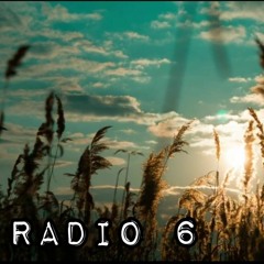 Radio 6 (Shi) - Nguyễn Đình Toàn